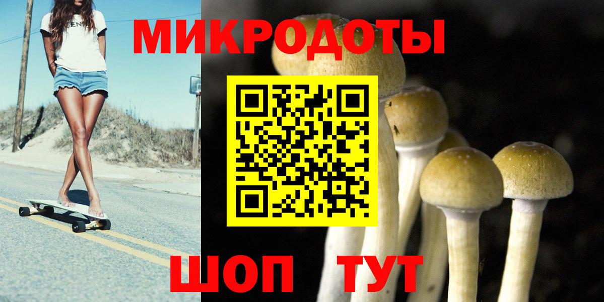 Галлюциногенные грибы Psilocybe Симферополь